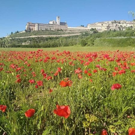 Casetta Delle Rose Assisi Exterior foto